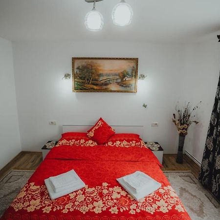 Casa Andreea Si Grigore Ursu Borşa Exterior foto