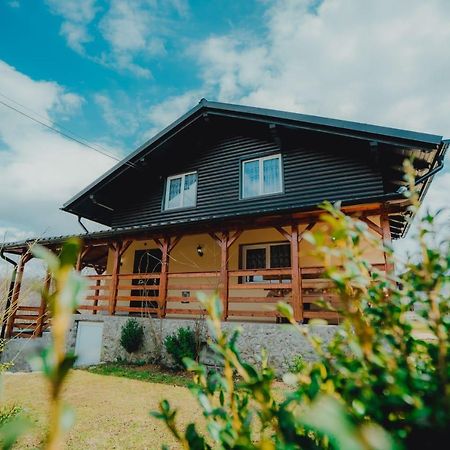 Casa Andreea Si Grigore Ursu Borşa Exterior foto