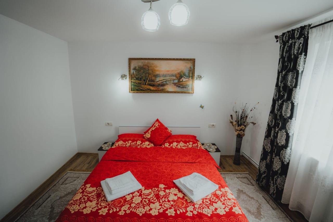 Casa Andreea Si Grigore Ursu Borşa Exterior foto