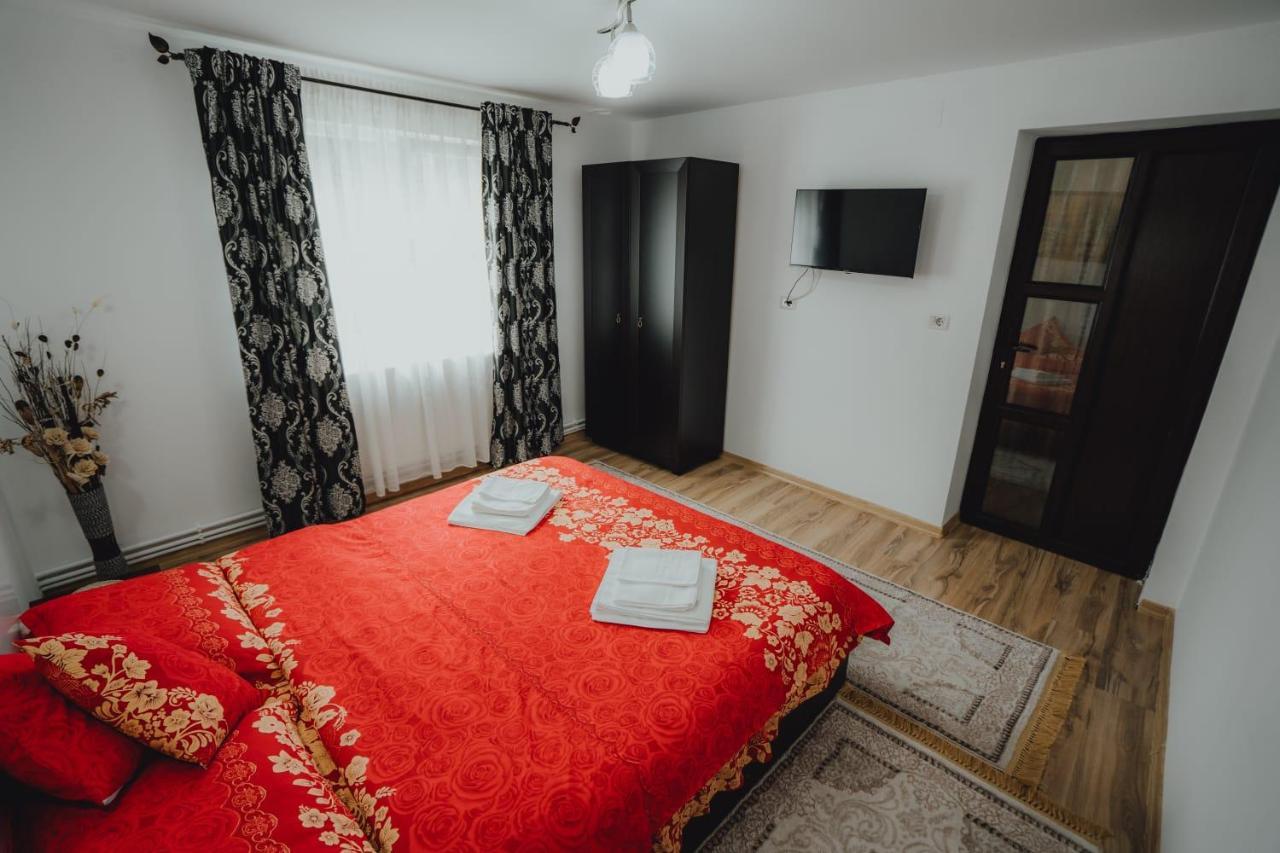 Casa Andreea Si Grigore Ursu Borşa Exterior foto