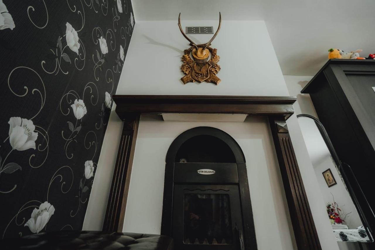 Casa Andreea Si Grigore Ursu Borşa Exterior foto
