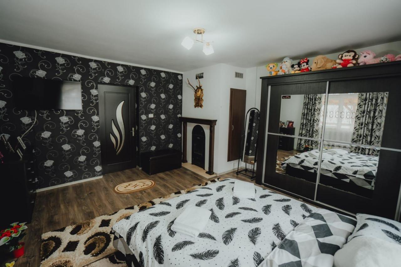 Casa Andreea Si Grigore Ursu Borşa Exterior foto