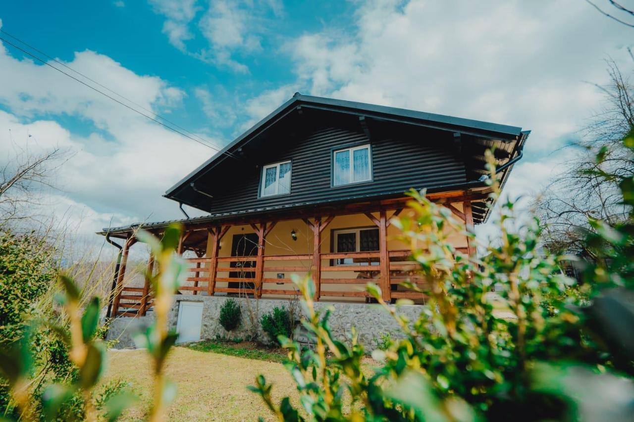Casa Andreea Si Grigore Ursu Borşa Exterior foto