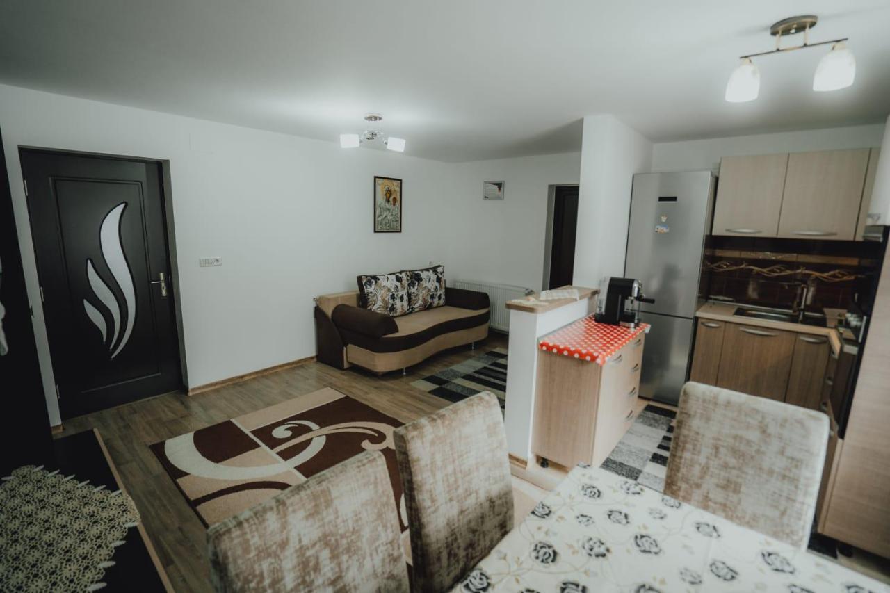 Casa Andreea Si Grigore Ursu Borşa Exterior foto