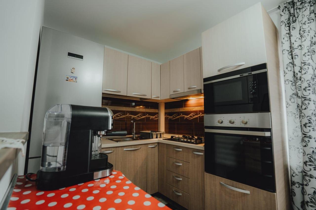 Casa Andreea Si Grigore Ursu Borşa Exterior foto