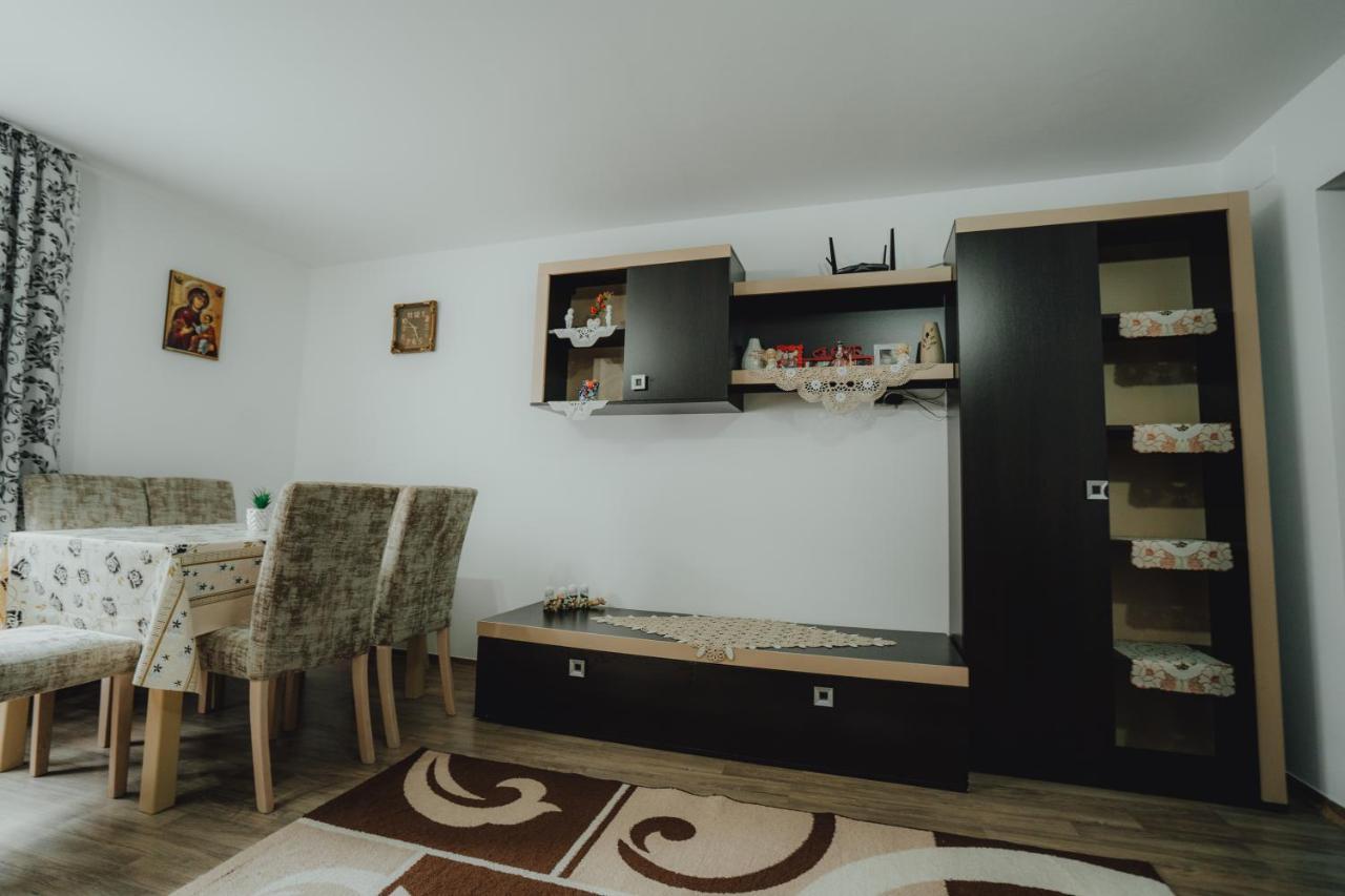 Casa Andreea Si Grigore Ursu Borşa Exterior foto