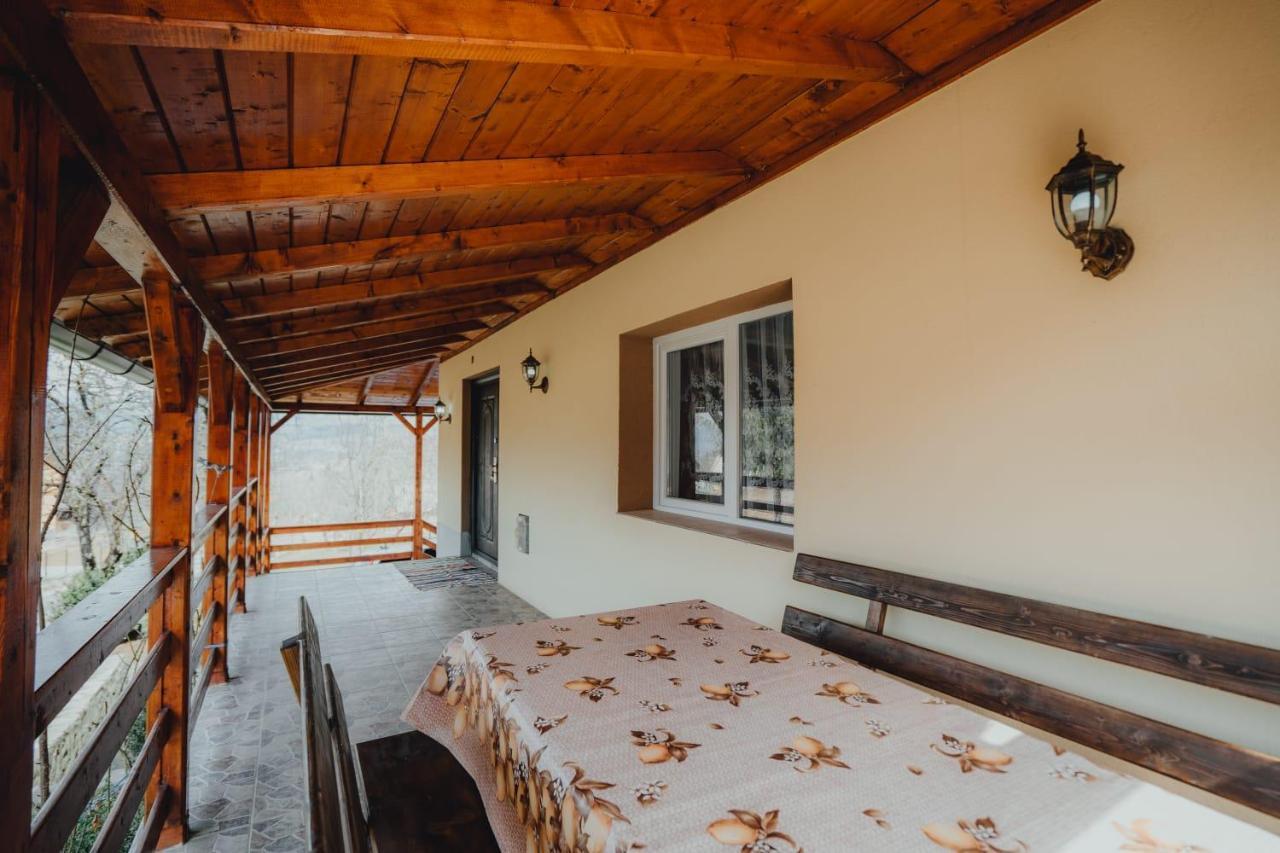 Casa Andreea Si Grigore Ursu Borşa Exterior foto