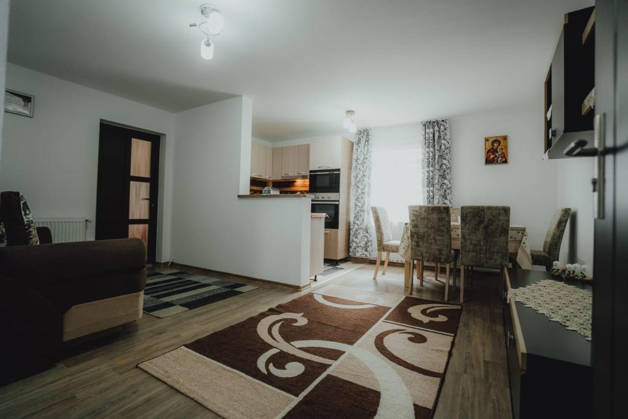 Casa Andreea Si Grigore Ursu Borşa Exterior foto