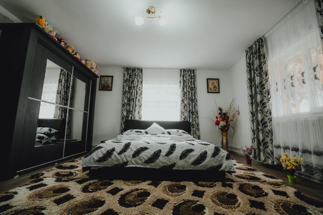 Casa Andreea Si Grigore Ursu Borşa Exterior foto