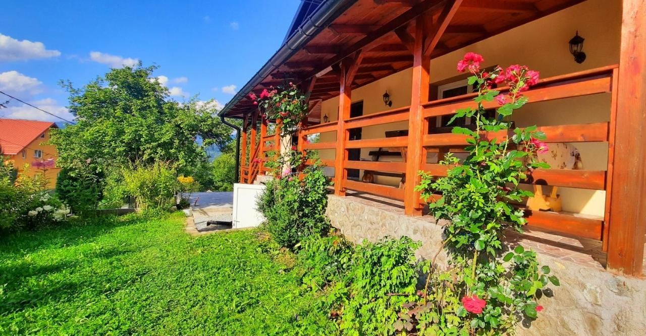 Casa Andreea Si Grigore Ursu Borşa Exterior foto