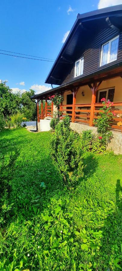 Casa Andreea Si Grigore Ursu Borşa Exterior foto