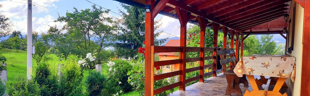 Casa Andreea Si Grigore Ursu Borşa Exterior foto